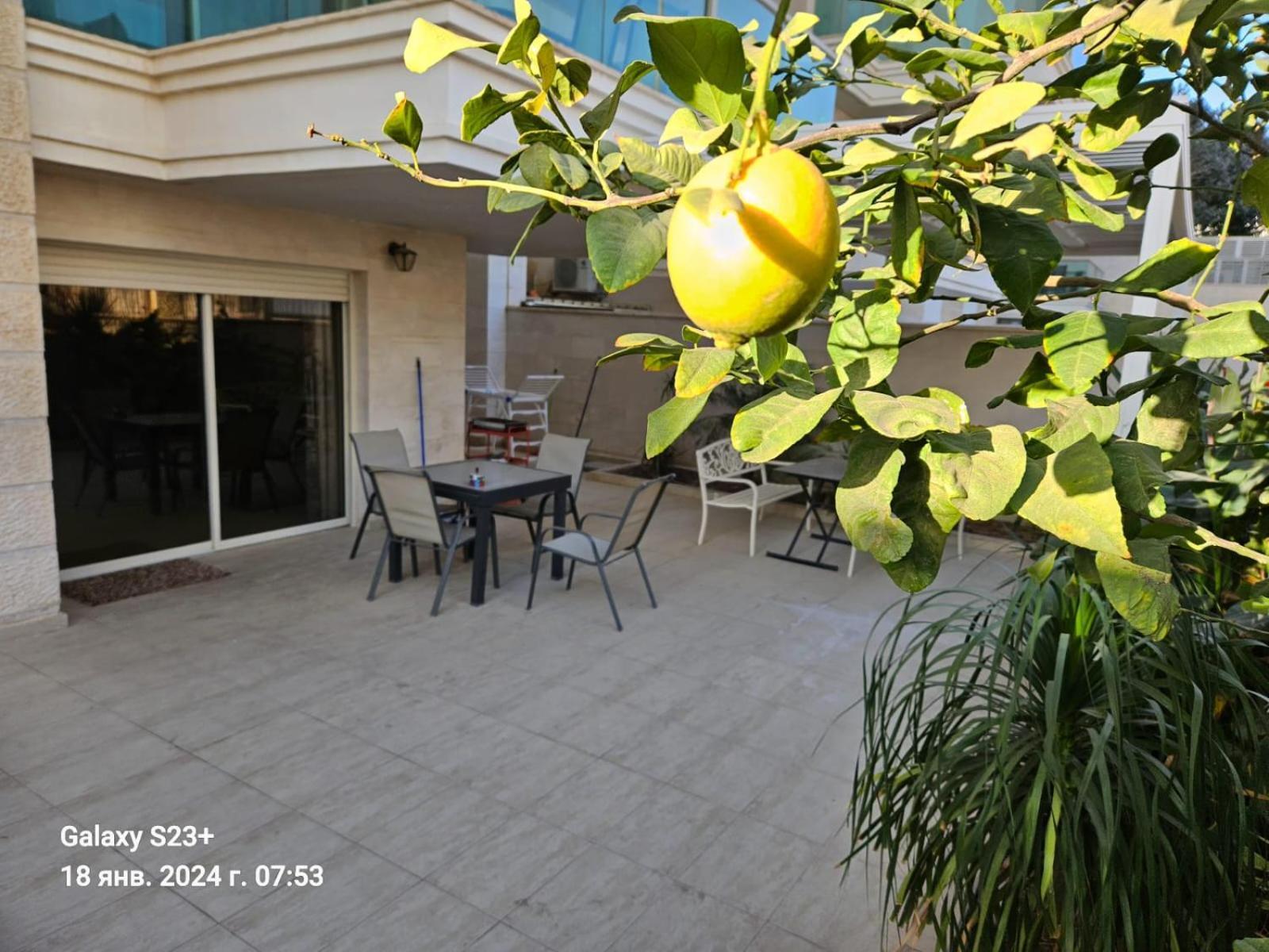 エイラートMilana'S Deluxe With Big Patio And Poolアパートメント エクステリア 写真